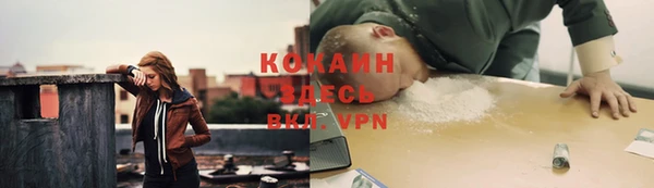 ECSTASY Инсар