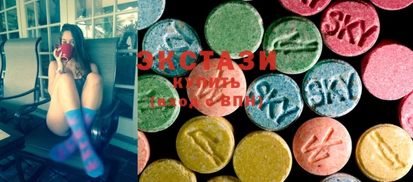 ECSTASY Инсар