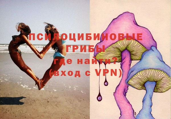 ECSTASY Инсар