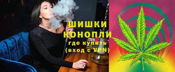 ECSTASY Инсар