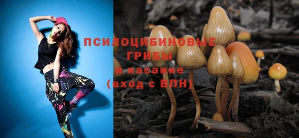 ECSTASY Инсар