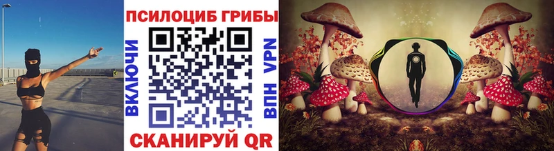 Купить  Дальнереченск  Псилоцибиновые грибы Magic Shrooms 